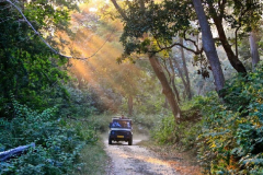 corbett0safari-tour