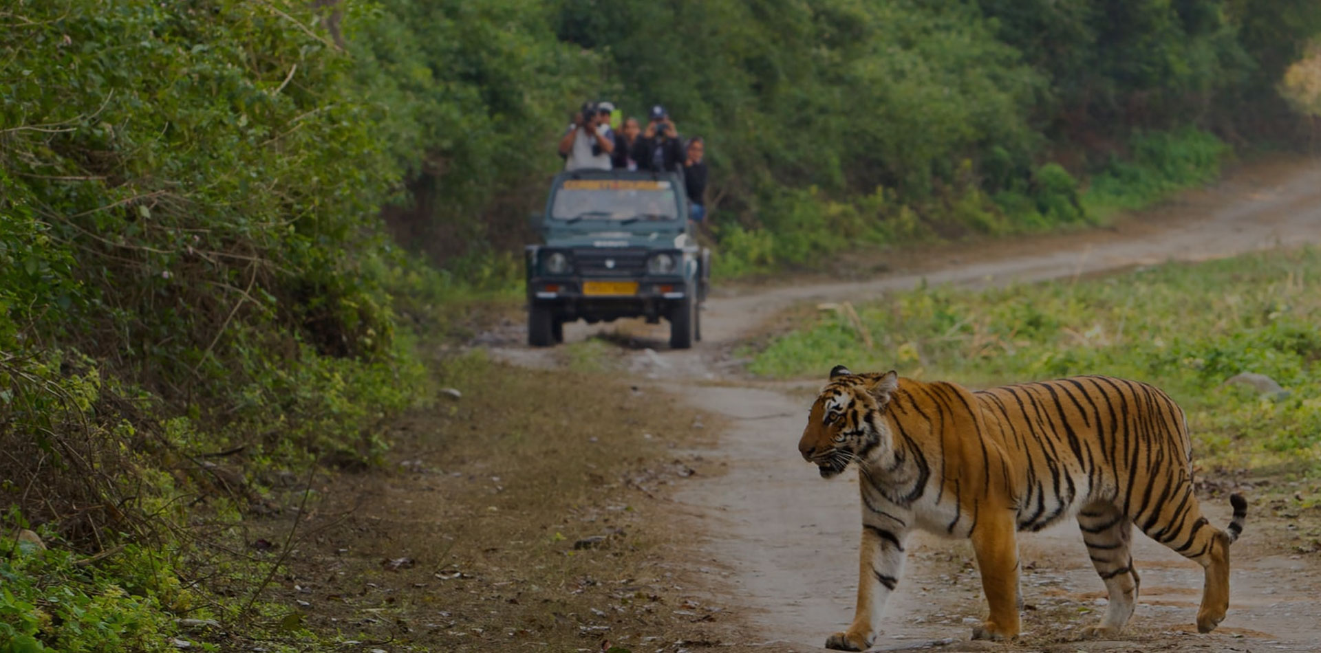 corbett safari booking official website