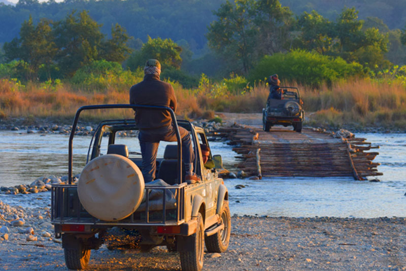 jeep-safari